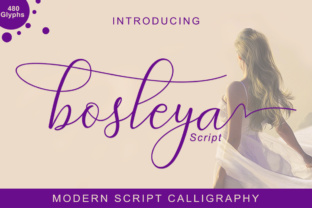 Bosleya: A Font That Speaks Volumes