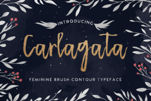Carlagata: A Casual Handwritten Typeface