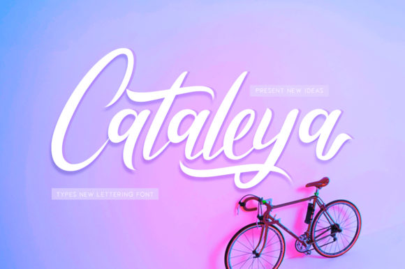 Cataleya: A Modern Script Font