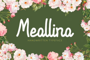 Meallina: A Friendly Font for Campaigns