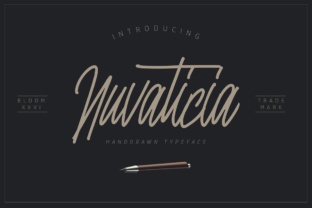 Nuvanticia: A Playful Script for Creative Branding