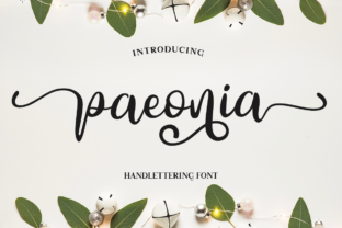 Paeonia: A Graceful Script Font
